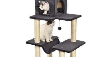 rascadores amazon basics arbol